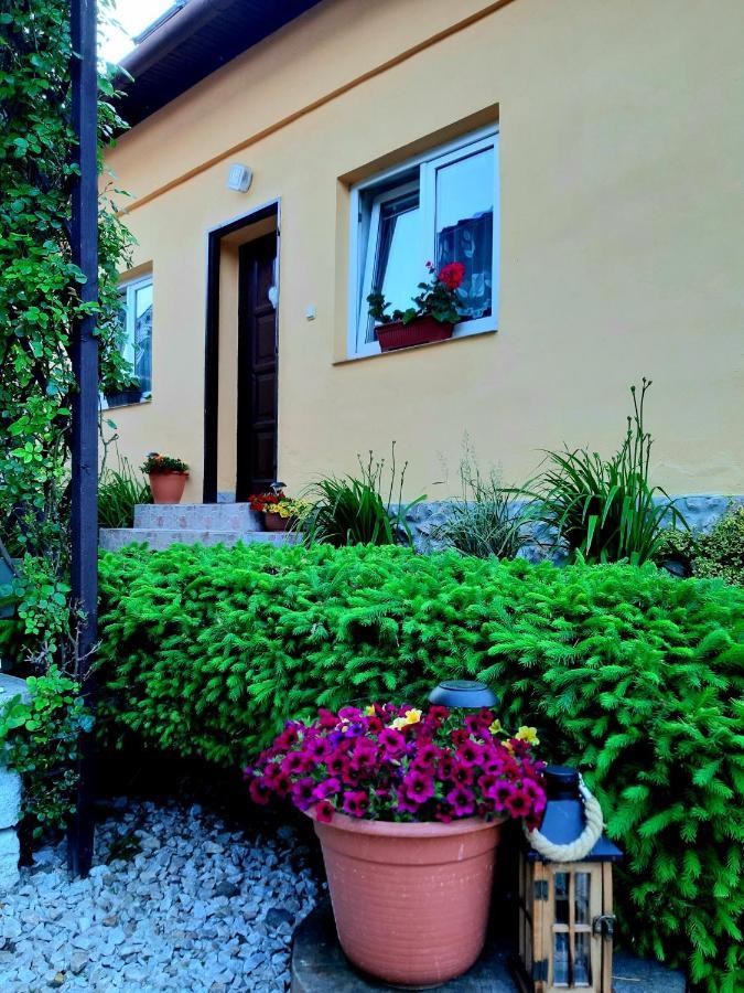 Rekreacny Domcek Judka Villa Dedinky Exteriör bild